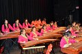 10.25.2014 Alice Guzheng Ensemble 12th Annual Performance at James Lee Community Theater, VA (7)